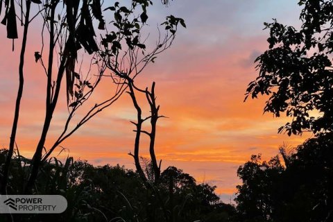 9400m2 Land in Lovina, Anturan, Buleleng,  No. 9384 12