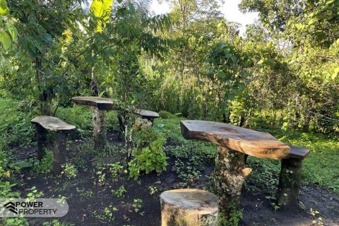 9400m2 Land in Lovina, Anturan, Buleleng,  No. 9384 8