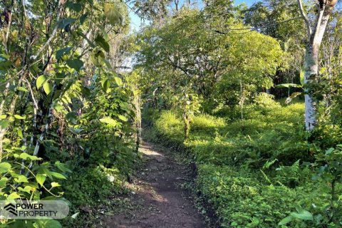 9400m2 Land in Lovina, Anturan, Buleleng,  No. 9384 9