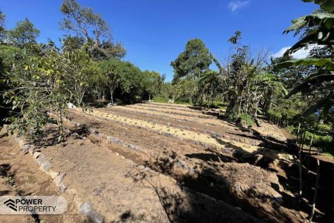 9400m2 Land in Lovina, Anturan, Buleleng,  No. 9384 16