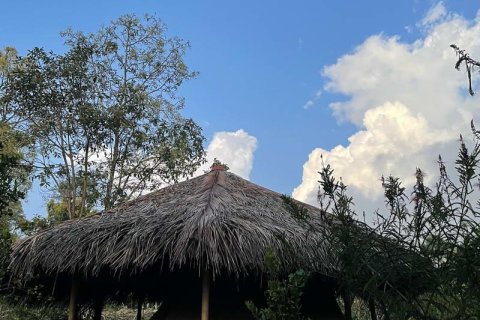 9400m2 Land in Lovina, Anturan, Buleleng,  No. 9384 17