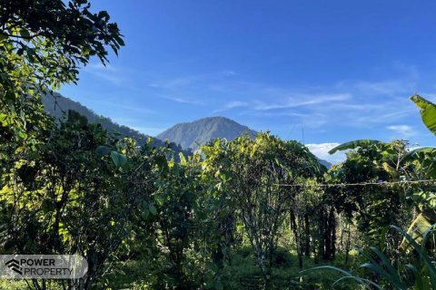 9400m2 Land in Lovina, Anturan, Buleleng,  No. 9384 1