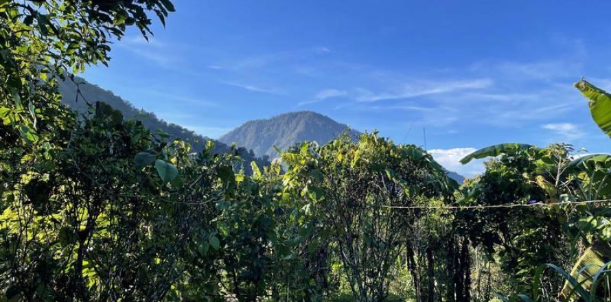 9400m2 Land in Lovina, Anturan, Buleleng,  No. 9384