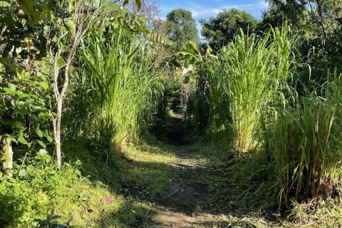 9400m2 Land in Lovina, Anturan, Buleleng,  No. 9384 7