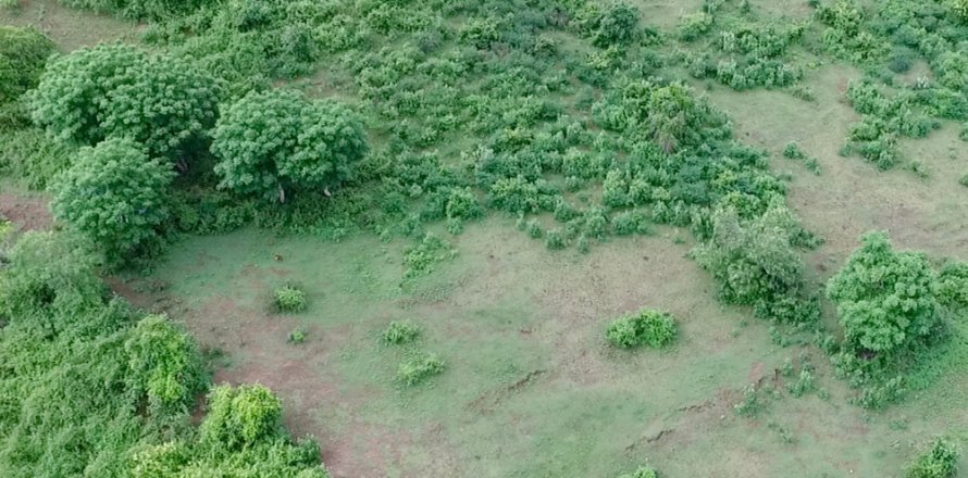 Land in Central Lombok, Indonesia No. 13504