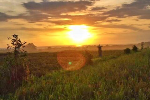 Land in Tabanan, Indonesia No. 11686 3