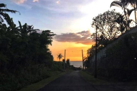 Land in Tabanan, Indonesia No. 11686 6