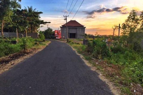 Land in Tabanan, Indonesia No. 11686 2