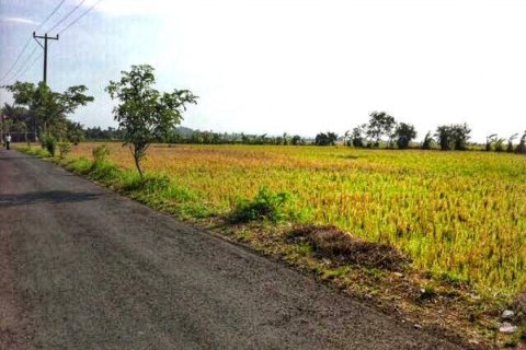 Land in Tabanan, Indonesia No. 11686 7