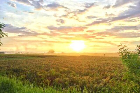 Land in Tabanan, Indonesia No. 11686