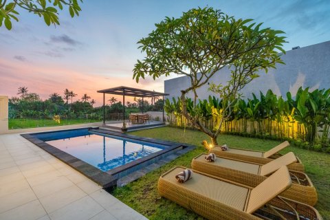 Studio Villa in Tumbak Bayuh, Mengwi, Badung, Indonesia No. 13685