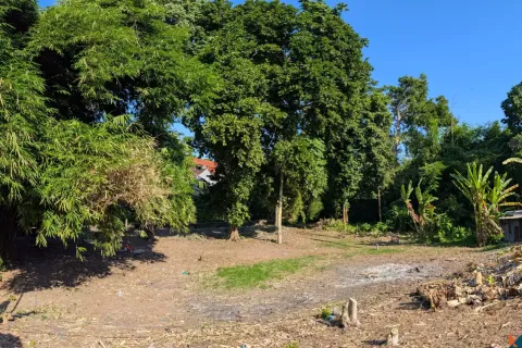 Земельный участок в Canggu, Бадунг, Индонезия № 10094 4