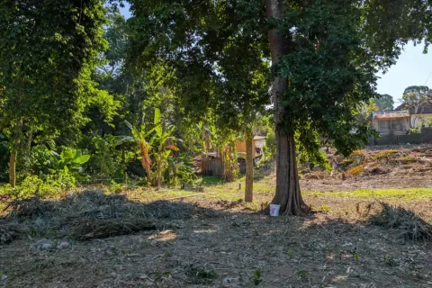 Земельный участок в Canggu, Бадунг, Индонезия № 10094 9