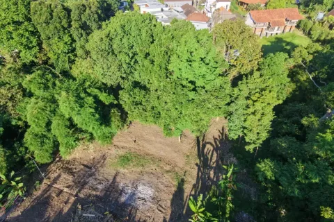 Земельный участок в Canggu, Бадунг, Индонезия № 10094 3