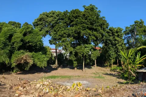 Земельный участок в Canggu, Бадунг, Индонезия № 10094 7