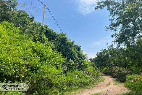 54.39m2 Land in No. 9113 1