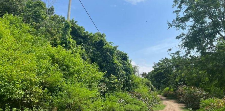 54.39m2 Land in No. 9113