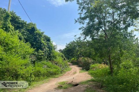 54.39m2 Land in No. 9113 2