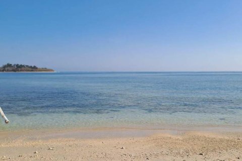 50000m2 Land in  No. 9114 23