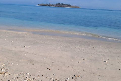 50000m2 Land in  No. 9114 17