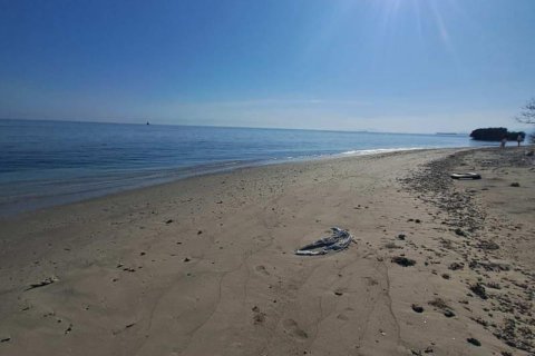 50000m2 Land in  No. 9114 18