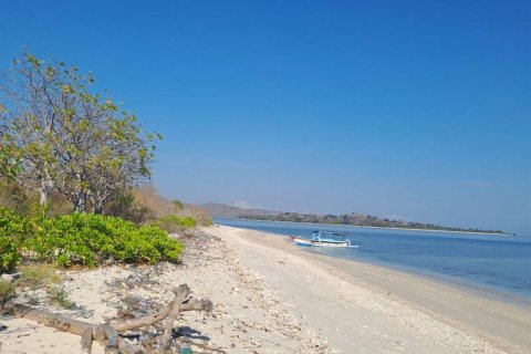 50000m2 Land in  No. 9114 7