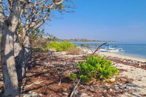 50000m2 Land in  No. 9114 29