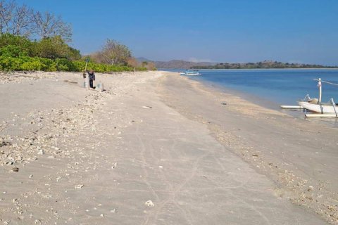 50000m2 Land in  No. 9114 11