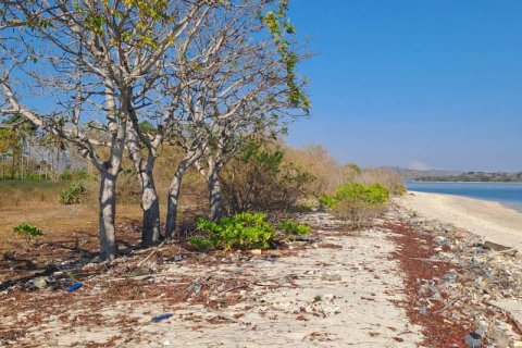 50000m2 Land in  No. 9114 30