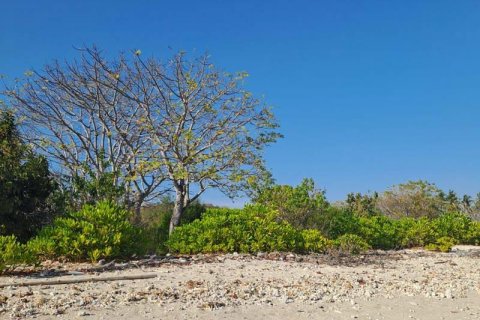 50000m2 Land in  No. 9114 13