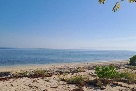 50000m2 Land in  No. 9114 28