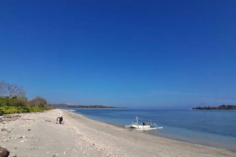 50000m2 Land in  No. 9114 19