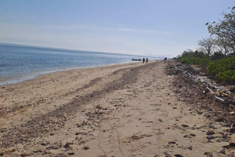 50000m2 Land in  No. 9114 21