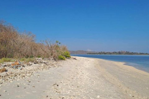 50000m2 Land in  No. 9114 22