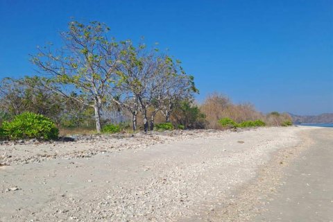 50000m2 Land in  No. 9114 1