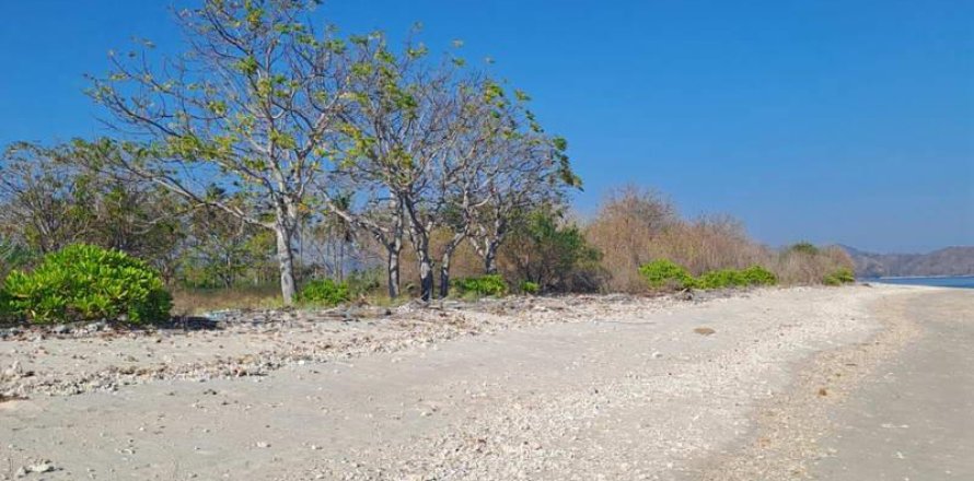 50000m2 Land in  No. 9114