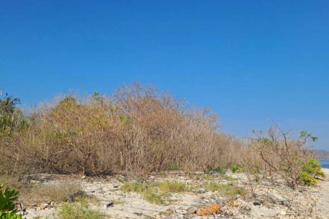 50000m2 Land in  No. 9114 24