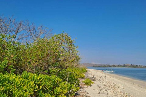 50000m2 Land in  No. 9114 14