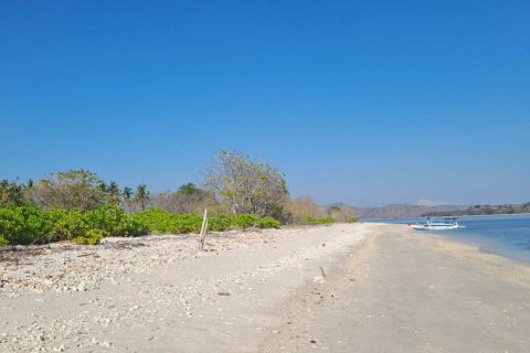 50000m2 Land in  No. 9114 12