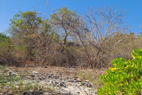 50000m2 Land in  No. 9114 26