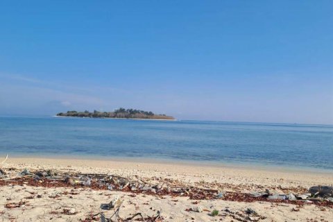 50000m2 Land in  No. 9114 27