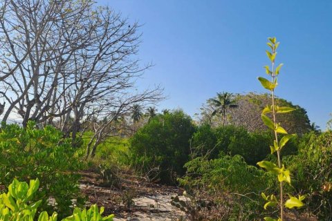 50000m2 Land in  No. 9114 5