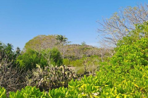 50000m2 Land in  No. 9114 15