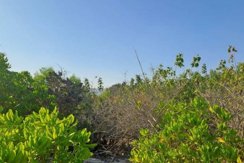 50000m2 Land in  No. 9114 16