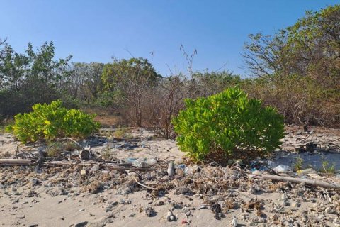 50000m2 Land in  No. 9114 20