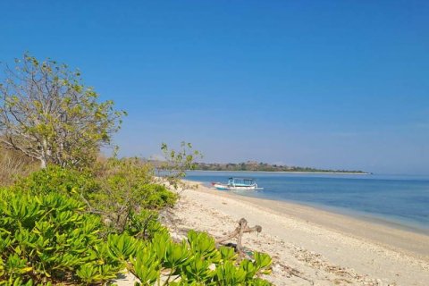 50000m2 Land in  No. 9114 8