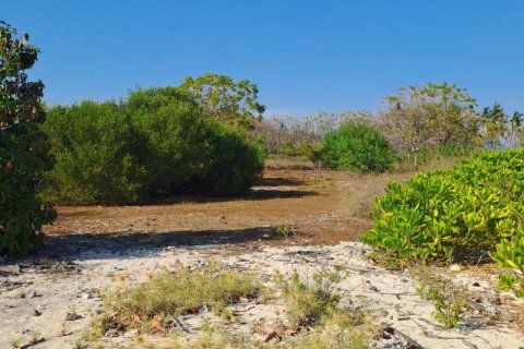 50000m2 Land in  No. 9114 9