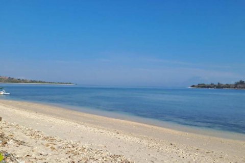 50000m2 Land in  No. 9114 6