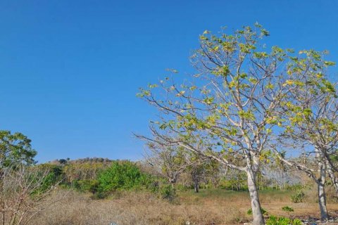 50000m2 Land in  No. 9114 3