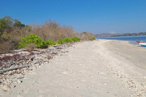 50000m2 Land in  No. 9114 25